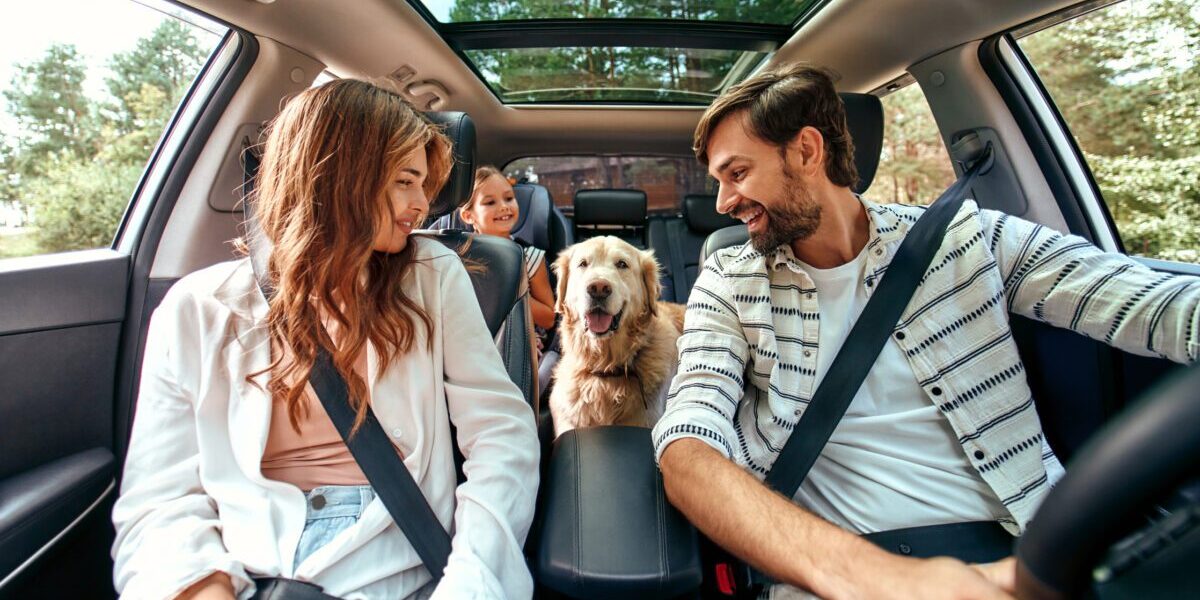 family traveling in a rental car and smiling at their dog, who they know is covered by their single-trip travel insurance plan